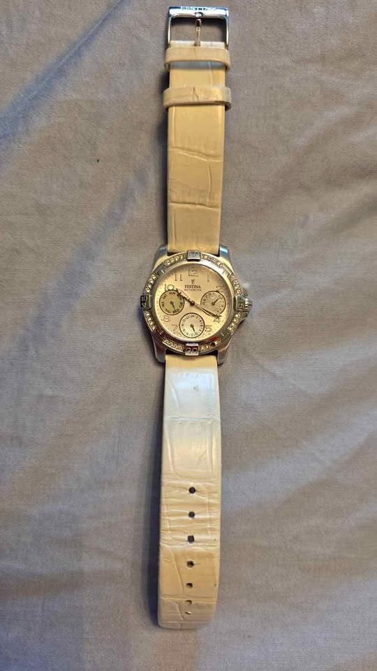 Festina Watch