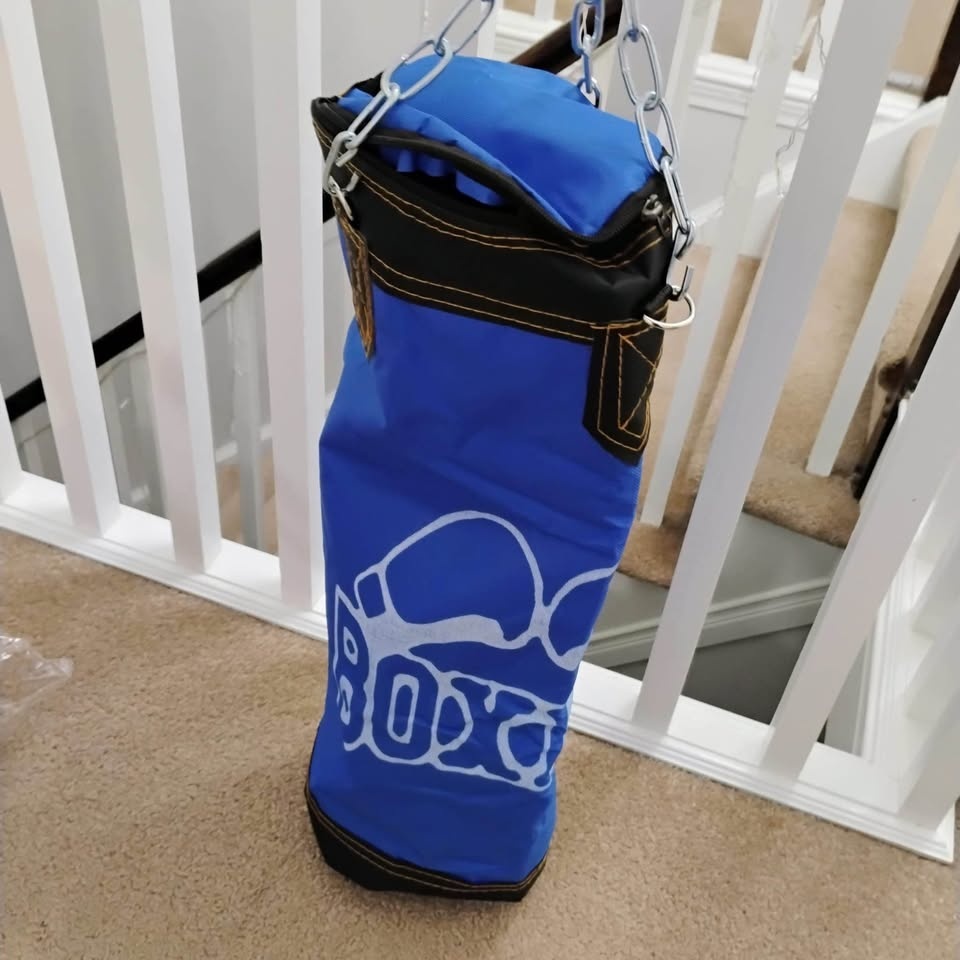 Boxing Bag with Gloves and Sparring Equipment - photo 3