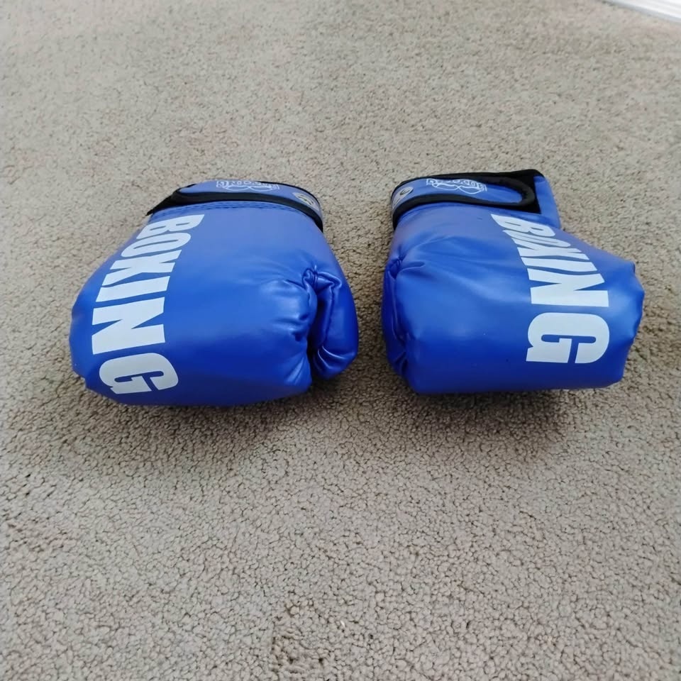 Boxing Bag with Gloves and Sparring Equipment - photo 4