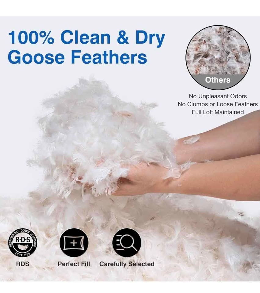 ZIBROGES Goose Feather Pillow - Queen Size - photo 4