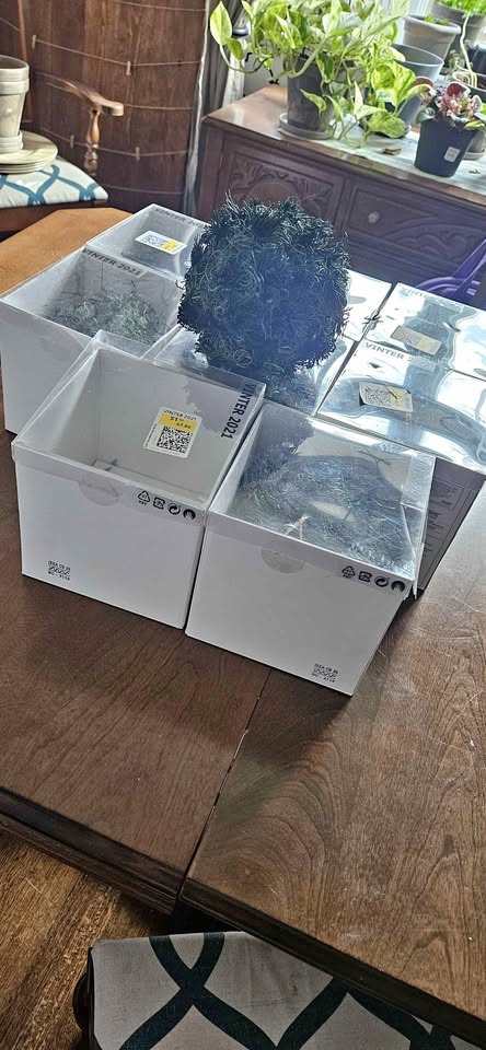 Ikea Greenery Hanging Balls