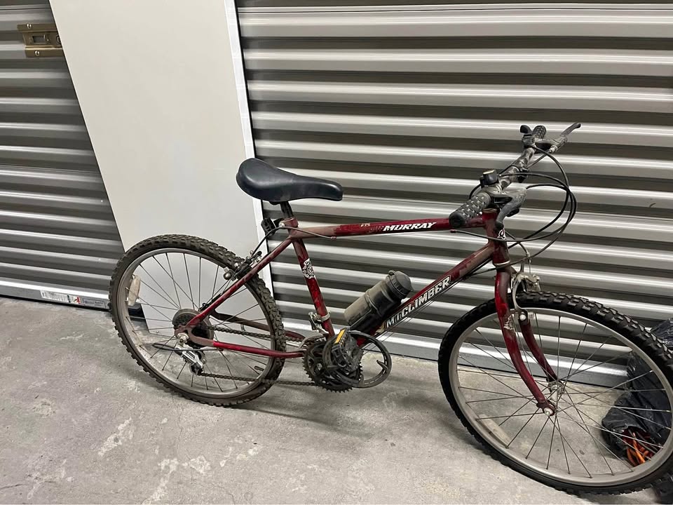24” Murray Bike