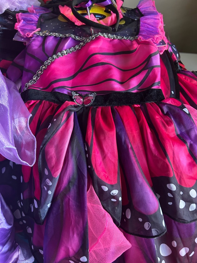 Brand New Teetot Butterfly Fairy Princess Dress Costume - photo 4