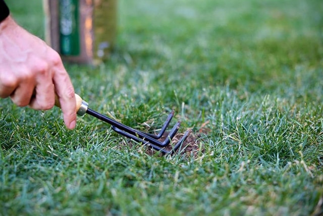 Scotts EZ Seed 3-in-1 Lawn Patch & Repair (9.1KG) - photo 4