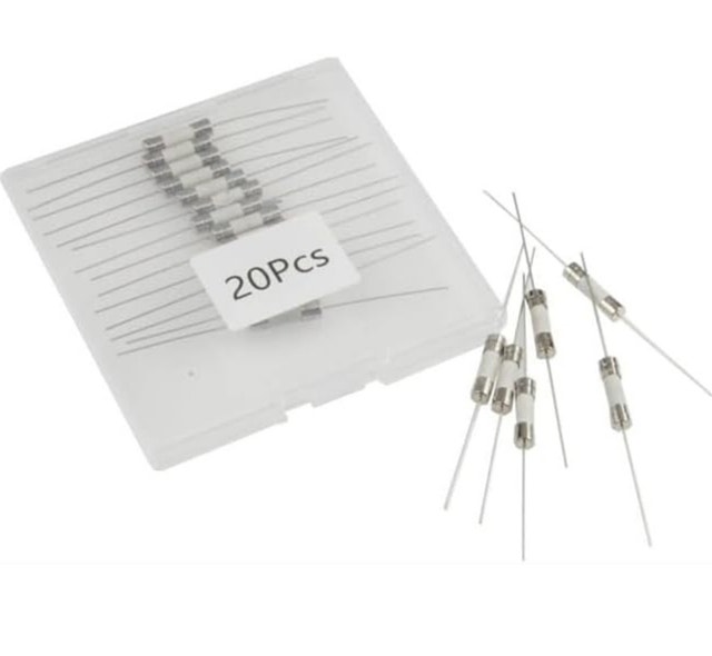 20pcs T8A Ceramic Axial Lead Fuses