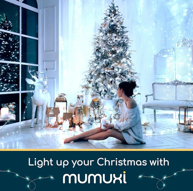 MUMUXI 12 Pk LED Christmas Fairy Lights (Cool-white)