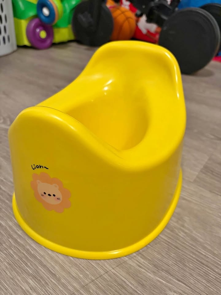 Brand new Potty Training Chair