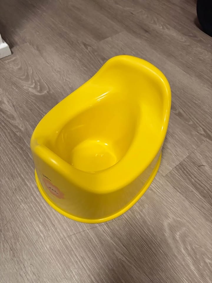 Brand new Potty Training Chair - photo 2