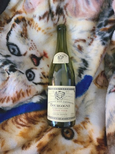 Louis Jadot 2014 Bourgogne Pinot Noir Empty Bottle