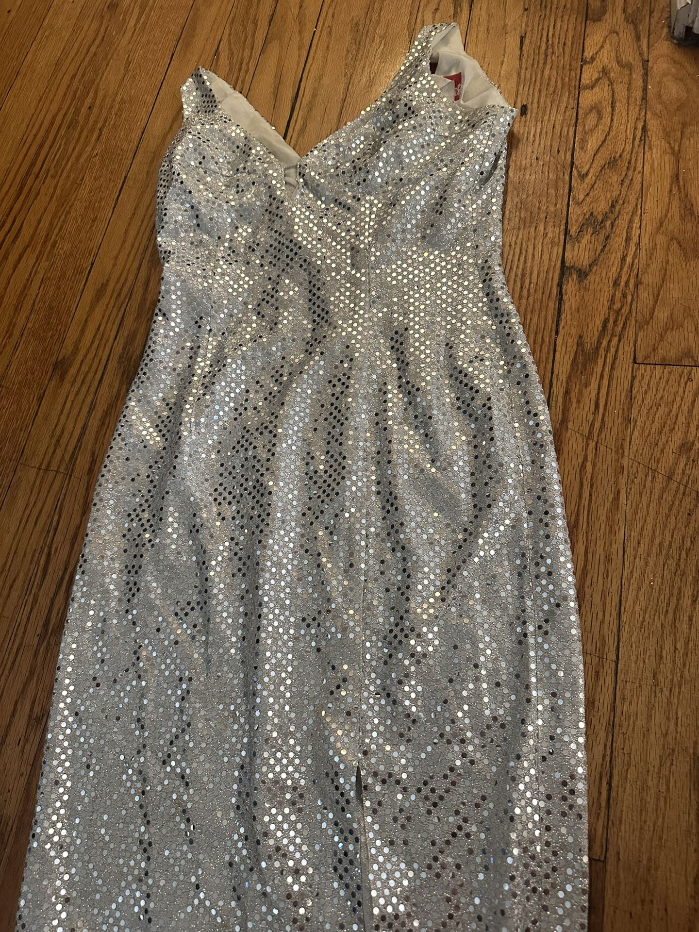 Shiny Silver Gown