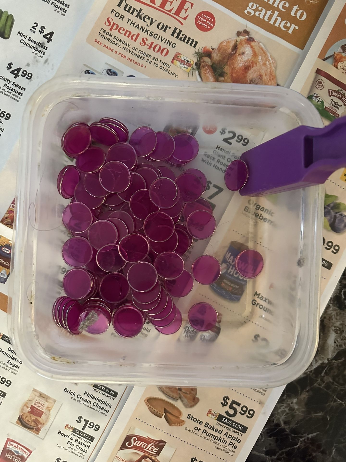Magnetic Bingo Chips