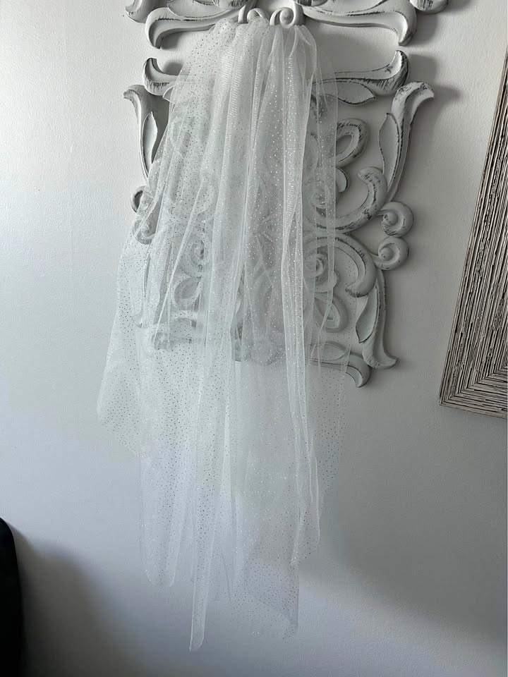 Waist length Sparkle Veil