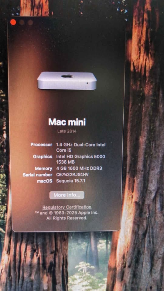 Mac Mini 2014 & Asus Monitor - photo 2