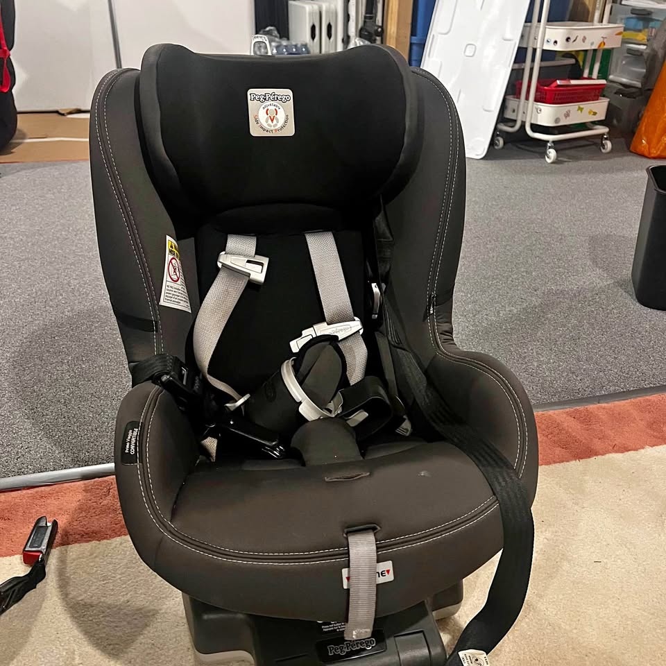 Peg Perego Convertible Car Seat