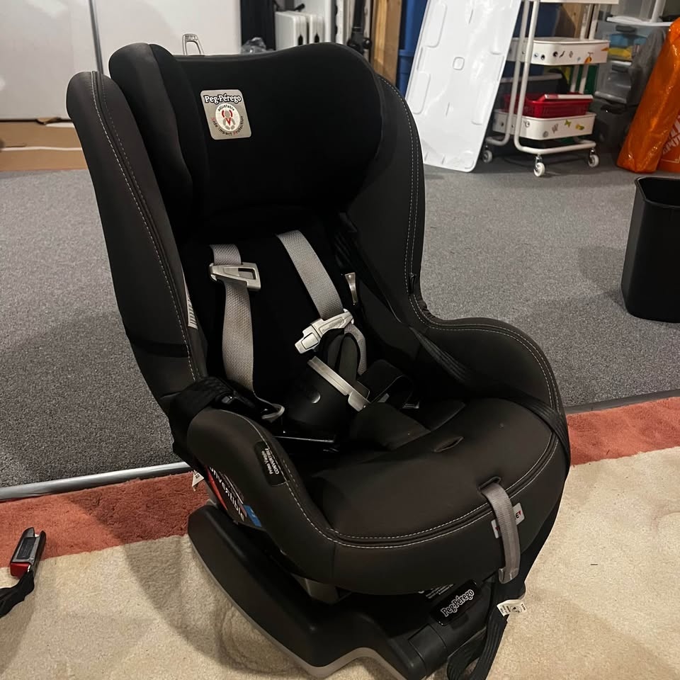 Peg Perego Convertible Car Seat - photo 2