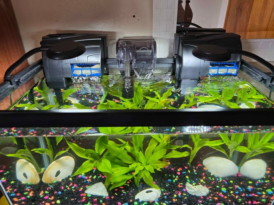 10 Gallon Fish Tank Setup – Complete Bundle - photo 2