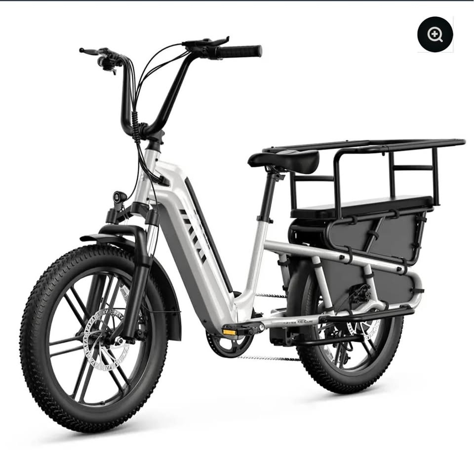 NEW TST Carrier Electric Bike – Open Box – Save vs Retail – Pick