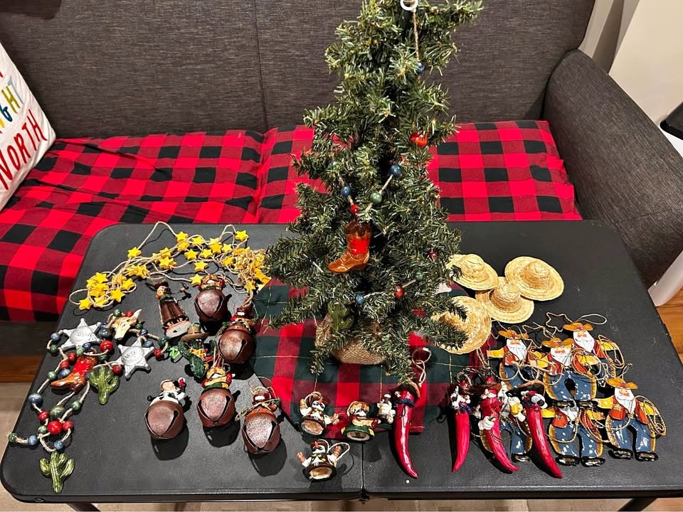 South-Western Christmas Decor Set