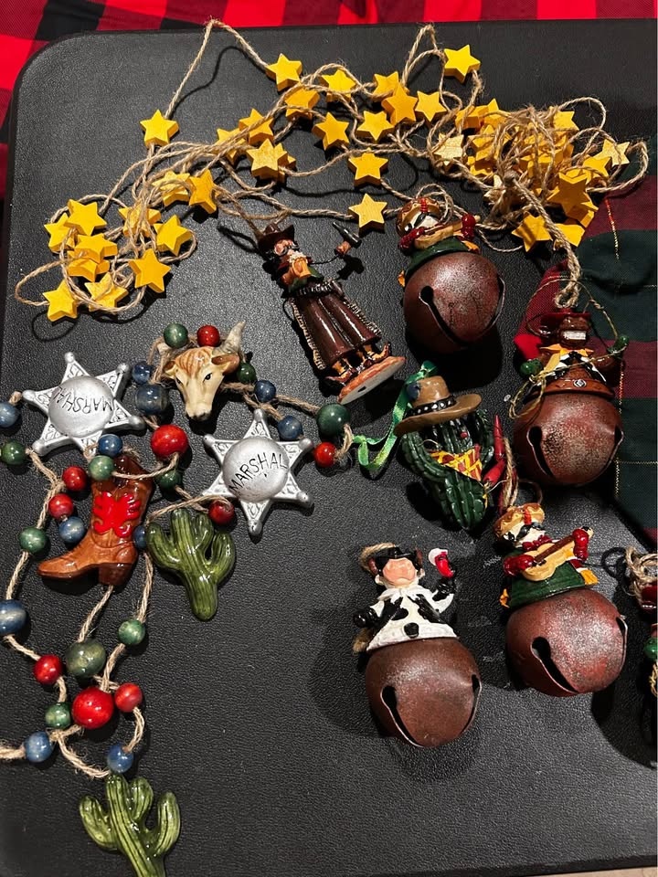 South-Western Christmas Decor Set - photo 2