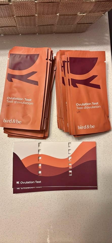 Bird & Be Ovulation Tests - 31 sealed tests