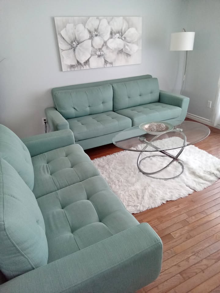 Sofa and Loveseat