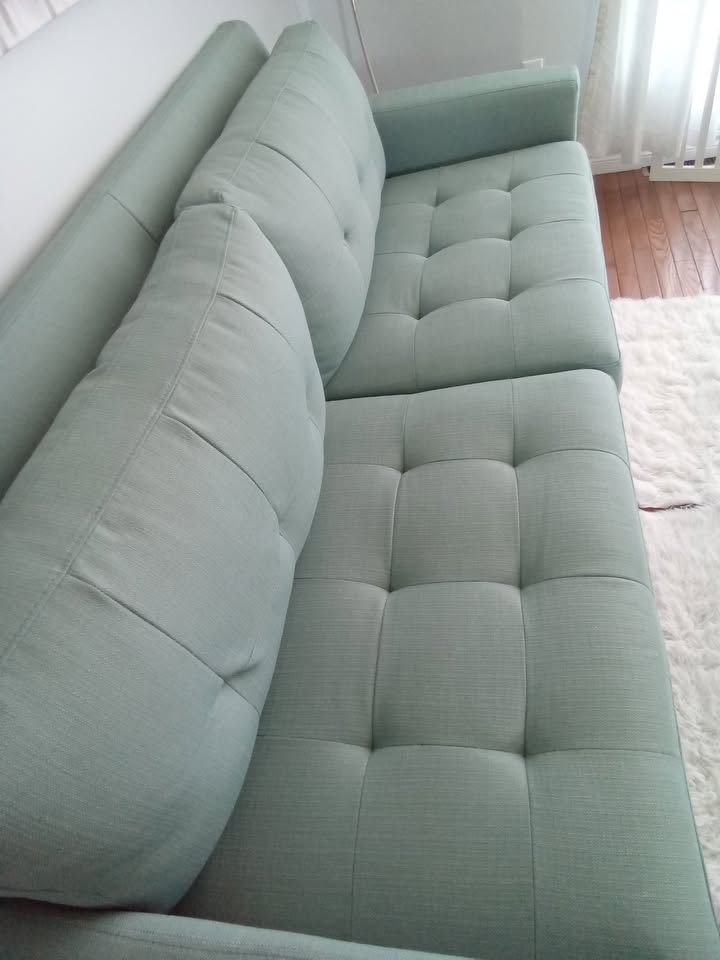 Sofa and Loveseat - photo 2