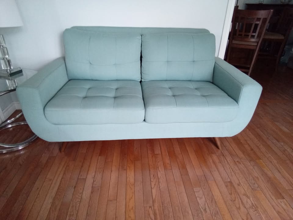 Sofa and Loveseat - photo 3
