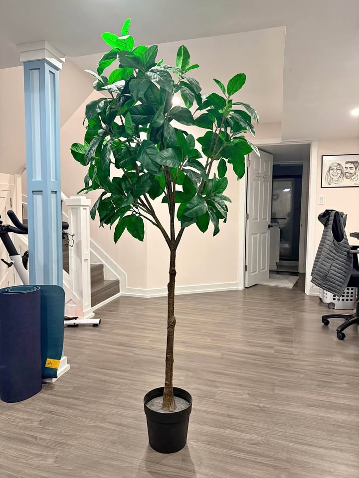 Ikea Magnolia Tree (Artificial)