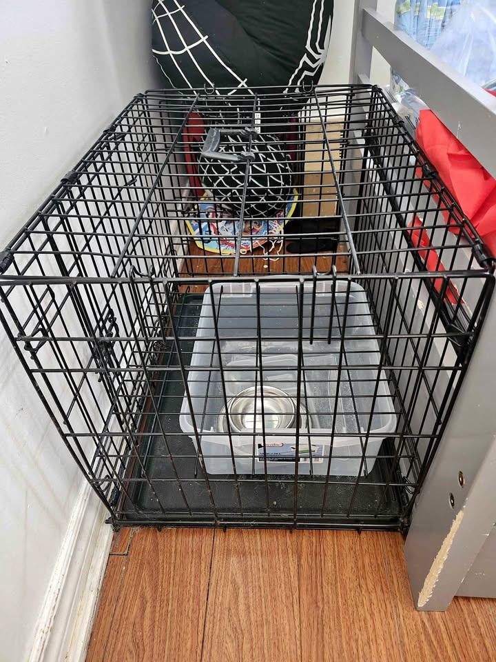 Small animal cage - bunny or hamster