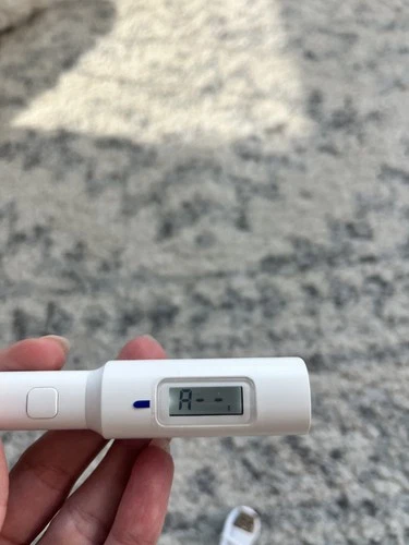 Pet Thermometer for Dogs & Cats, USB-C Charger - photo 2