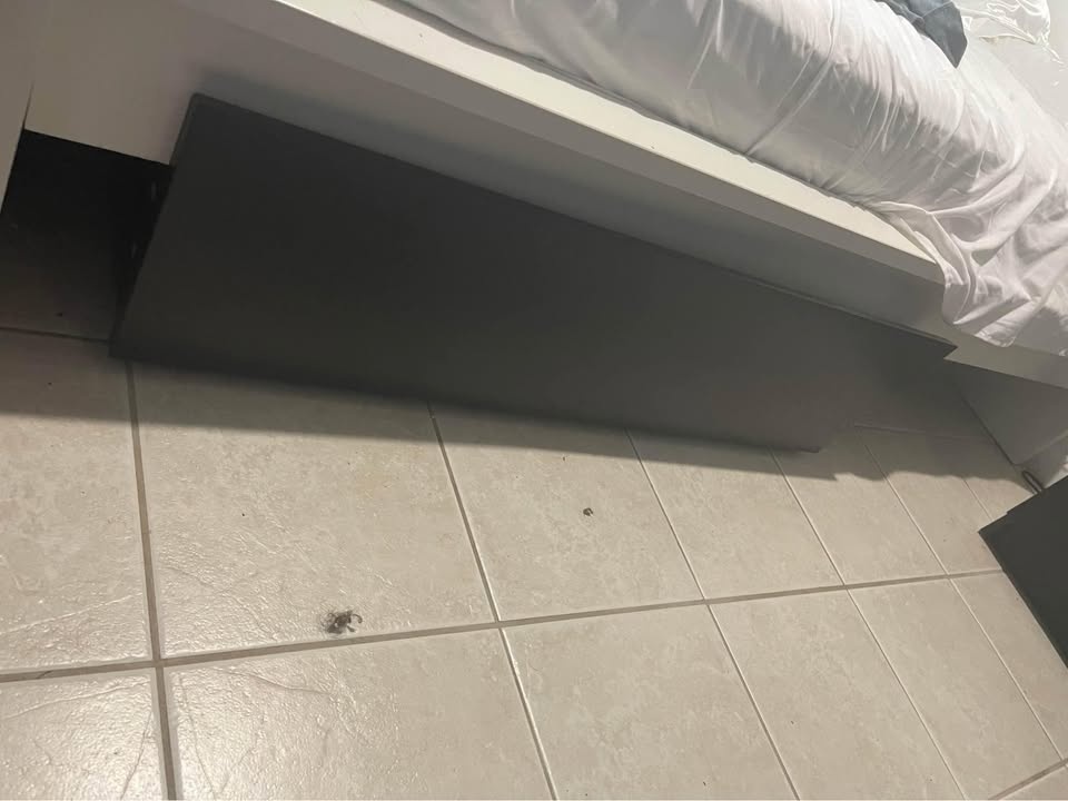 Black Underbed Drawer Ikea - photo 2