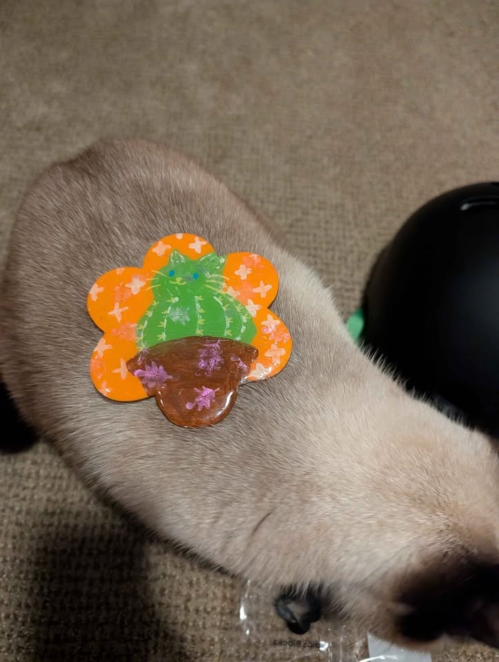 Hand painted cat-ctus coaster - photo 2
