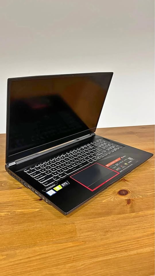 MSI GE75 Raider 9SE Gaming Laptop