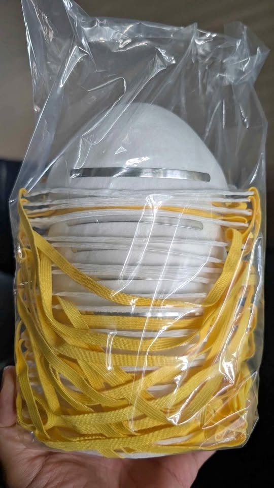 Disposable mask