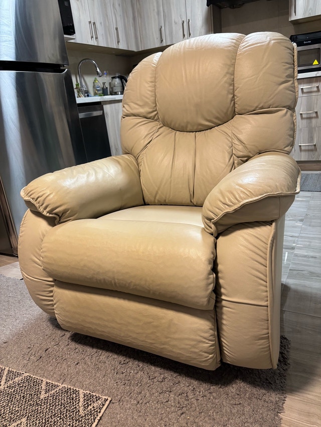Lazy Boy Recliner with Multiple Functions for Back Support