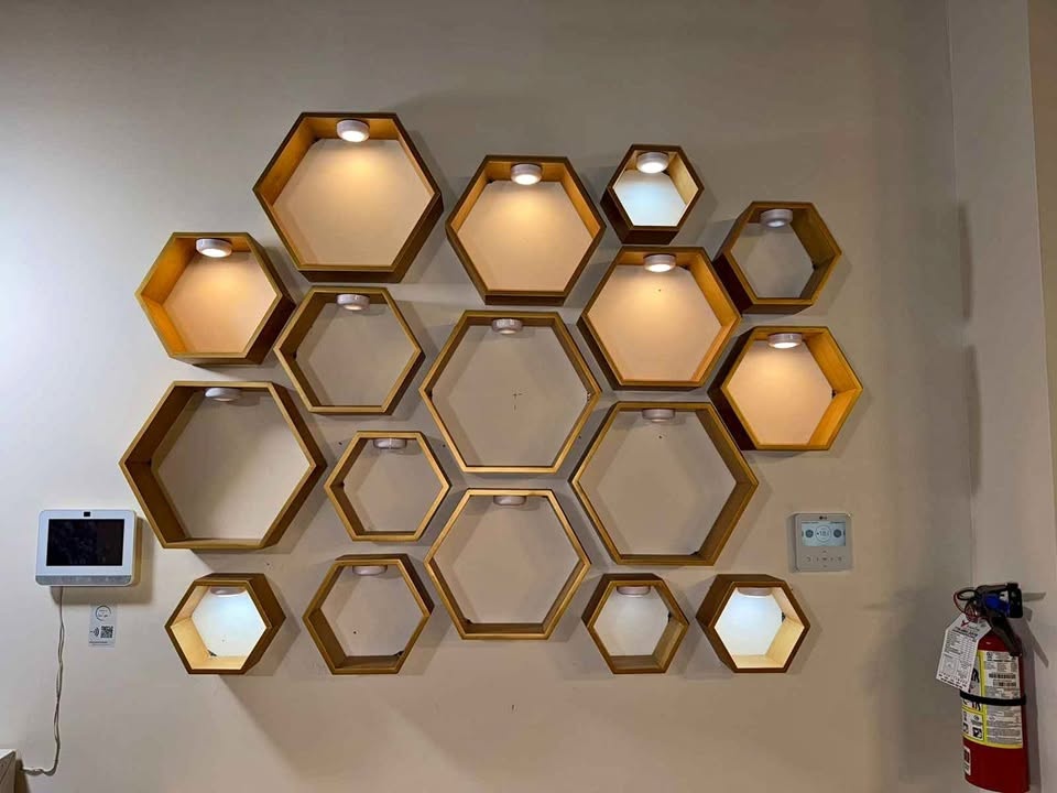 Honeycomb shelves with lights $6 each