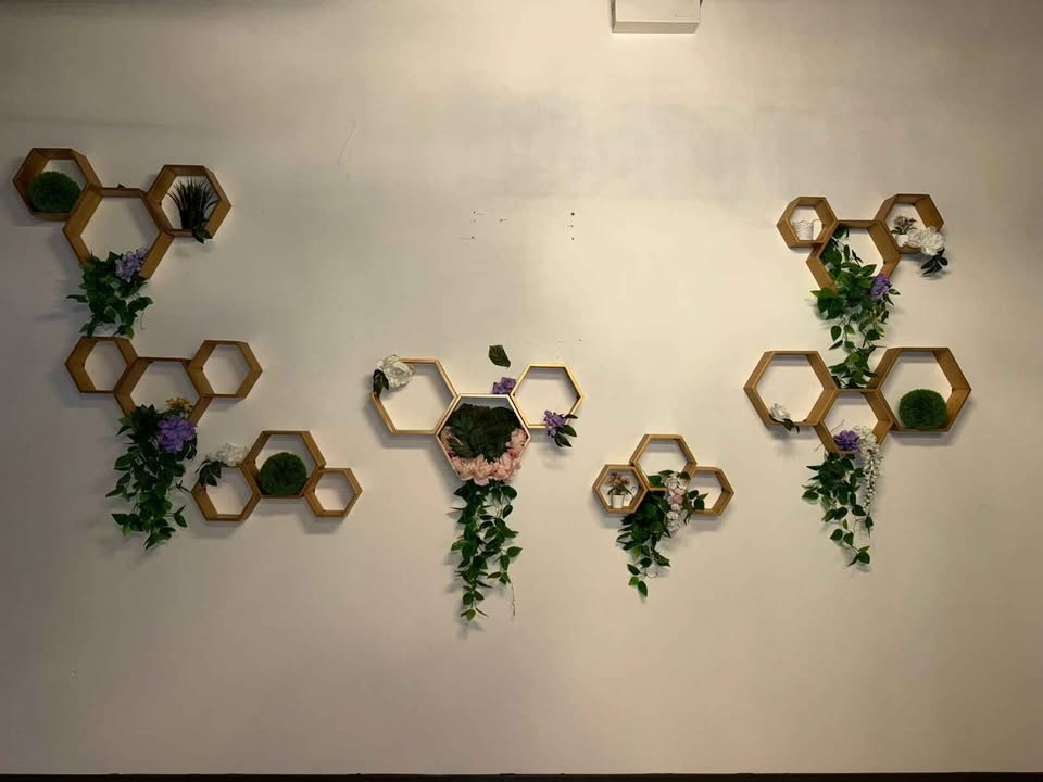 Honeycomb shelves with lights $6 each - photo 3