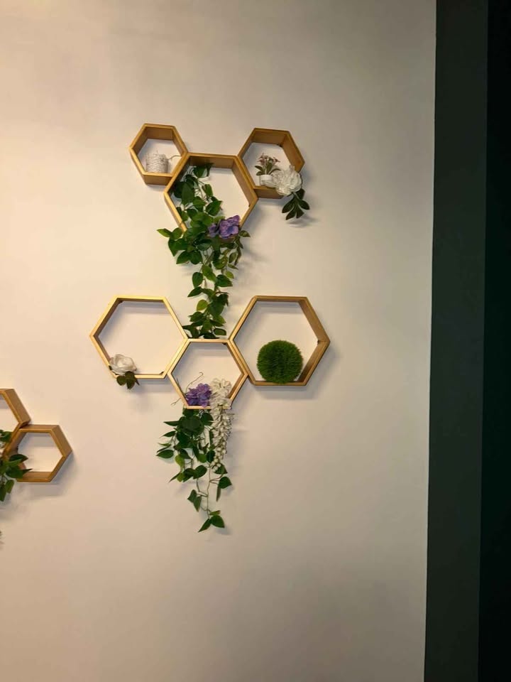 Honeycomb shelves with lights $6 each - photo 4