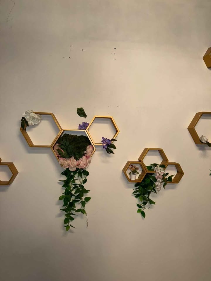 Honeycomb shelves with lights $6 each - photo 5