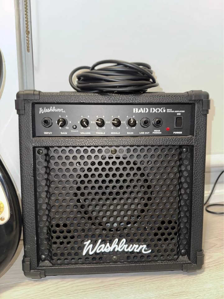 Eleca Flame Electric Guitar with Washburn Amp - photo 4