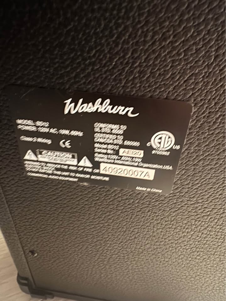 Eleca Flame Electric Guitar with Washburn Amp - photo 5