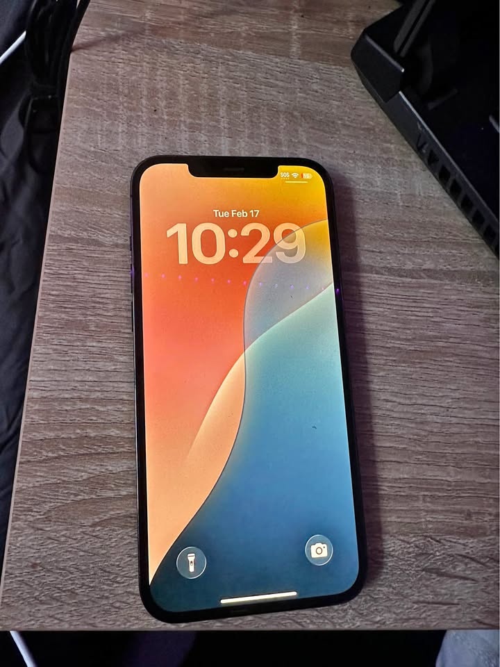 iPhone 12 Pro Max 256GB