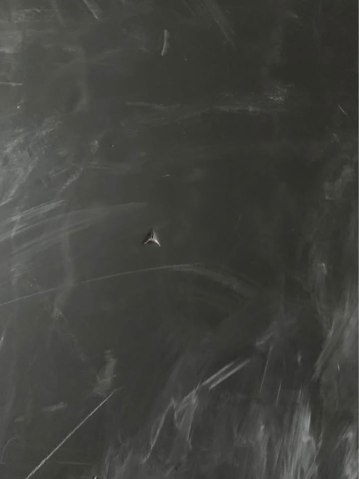 Foam Core Black and White - photo 3