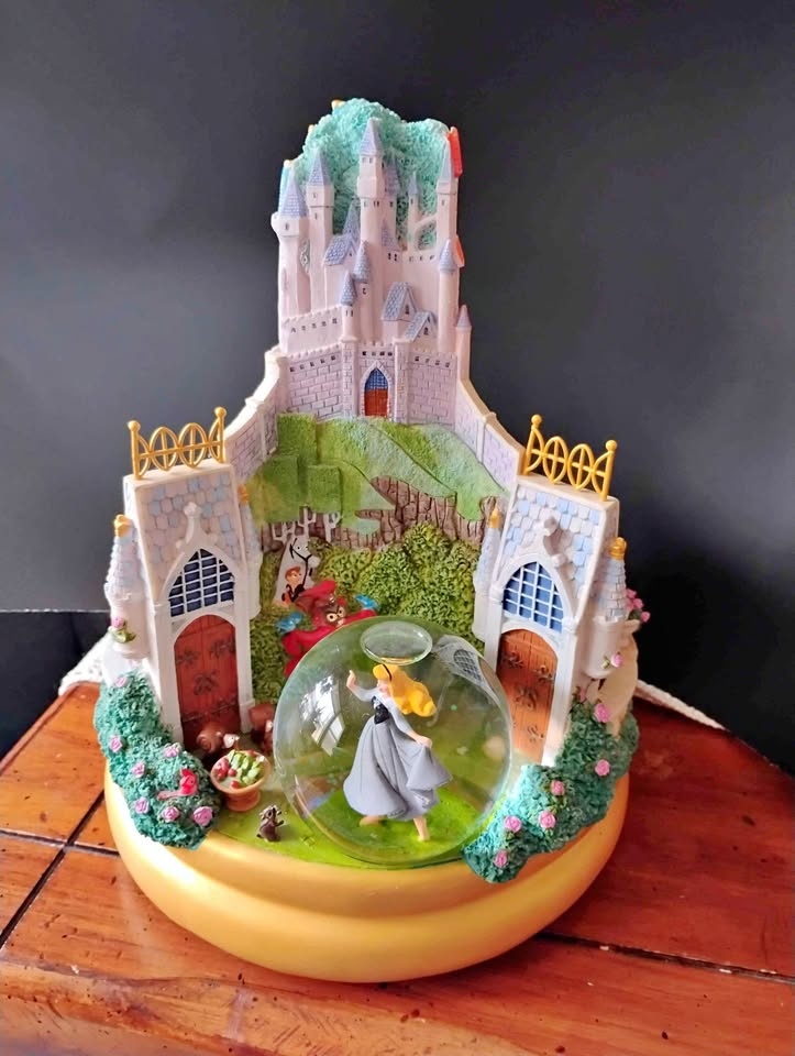 Rare Disney Princess Snow Globe - Cash Only