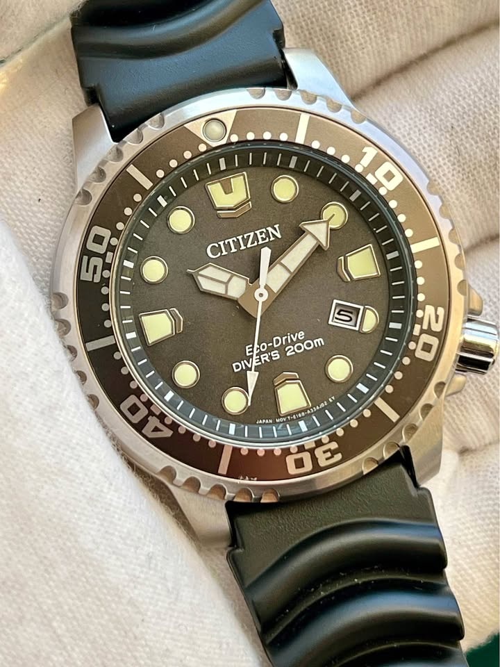Citizen Promaster Diver’s 200m Men’s Watch