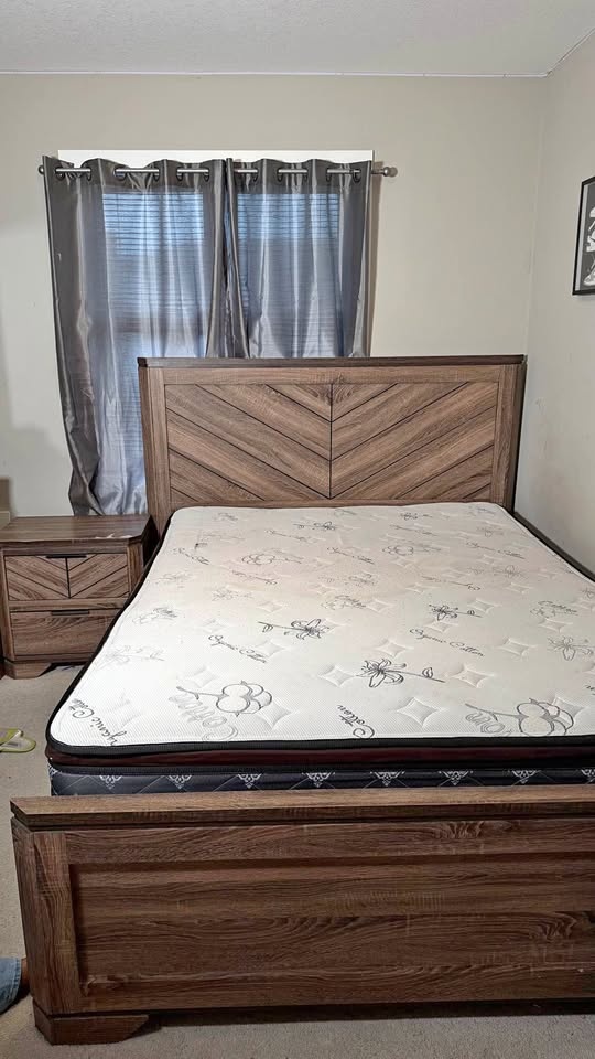Queen Bedframe and Bedside Table
