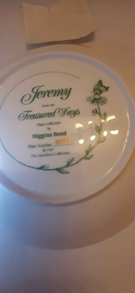 Treasured Days Jeremy Plate Collection - photo 5