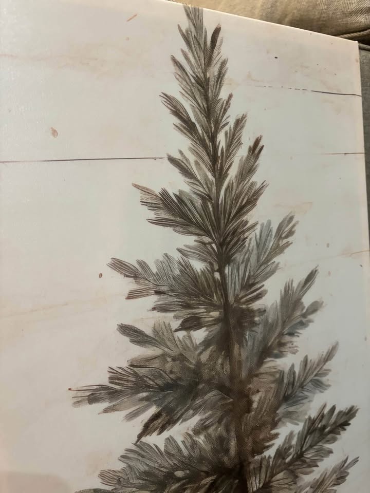 Rustic Evergreen Canvas - photo 3