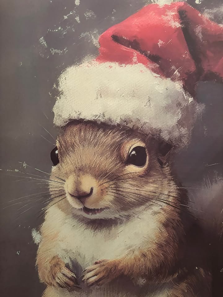 Festive Squirrel Canvas - Ready to Hang Wall Art - photo 2