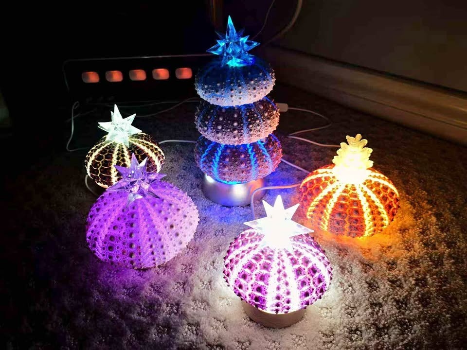 Handmade Sea Urchin Lamp